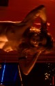 Marisa Tomei - The Wrestler