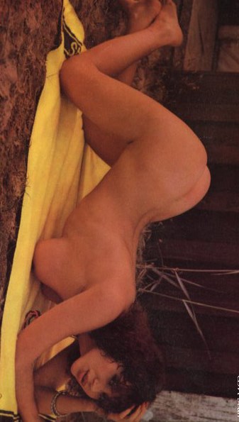 Ava Cadell - posing nude