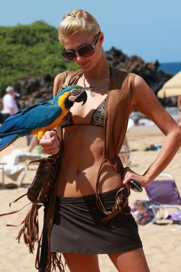 Paris Hilton - bikini photoshoot