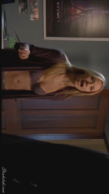 Yvonne Strahovski - Chuck