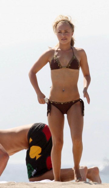 Hayden Panettiere - brown bikini