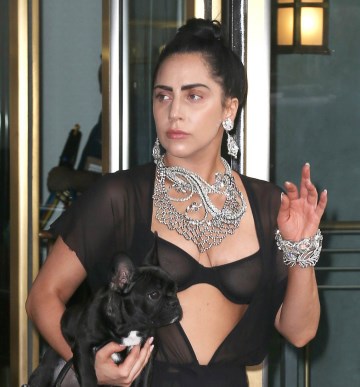 Lady GaGa - see  through