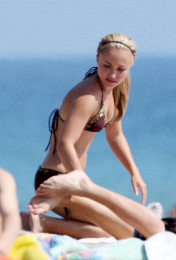 Hayden Panettiere - brown bikini